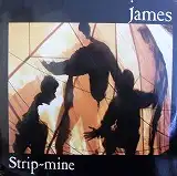 JAMES / STRIP MINEΥʥ쥳ɥ㥱å ()