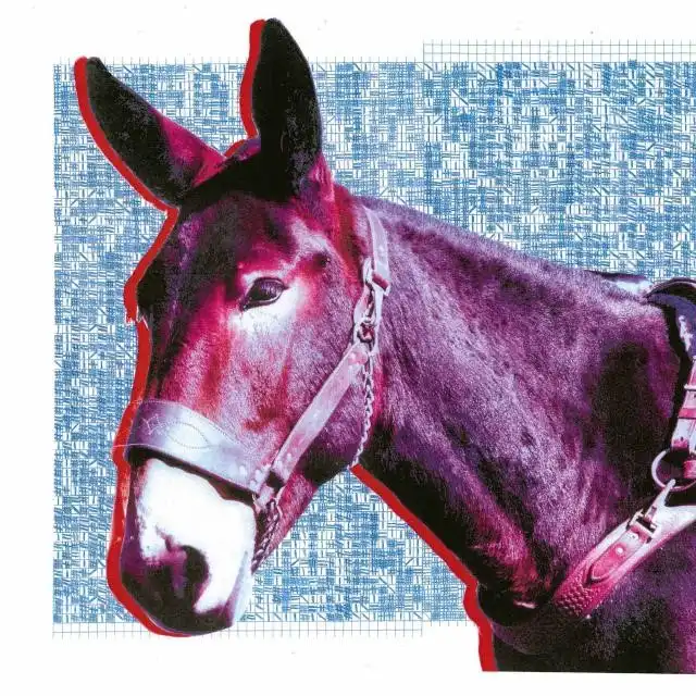 PROTOMARTYR / ULTIMATE SUCCESS TODAYのアナログレコードジャケット (準備中)