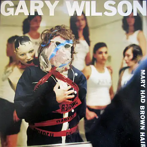 GARY WILSON / MARY HAD BROWN HAIRのアナログレコードジャケット (準備中)