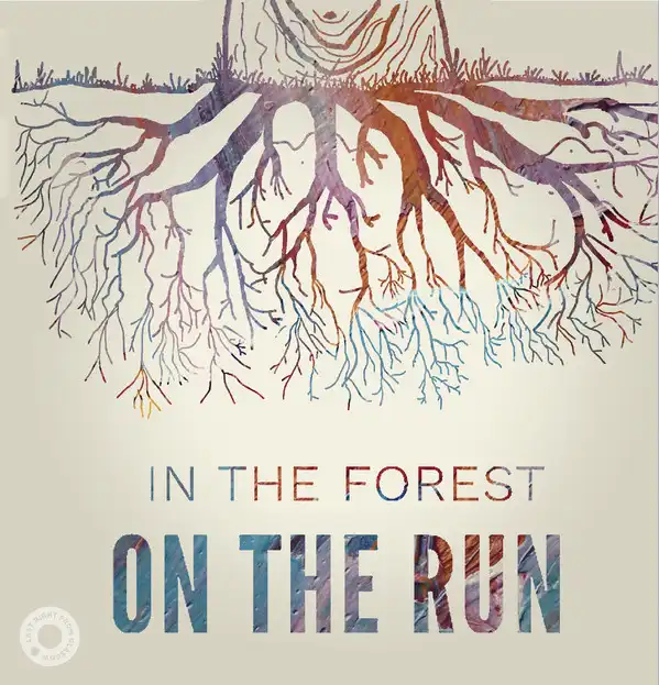 IN THE FOREST  NICOL & ELLIOTT / ON THE RUN  STORMΥʥ쥳ɥ㥱å ()