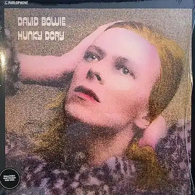 DAVID BOWIE / HUNKY DORY (REISSUE)のアナログレコードジャケット (準備中)