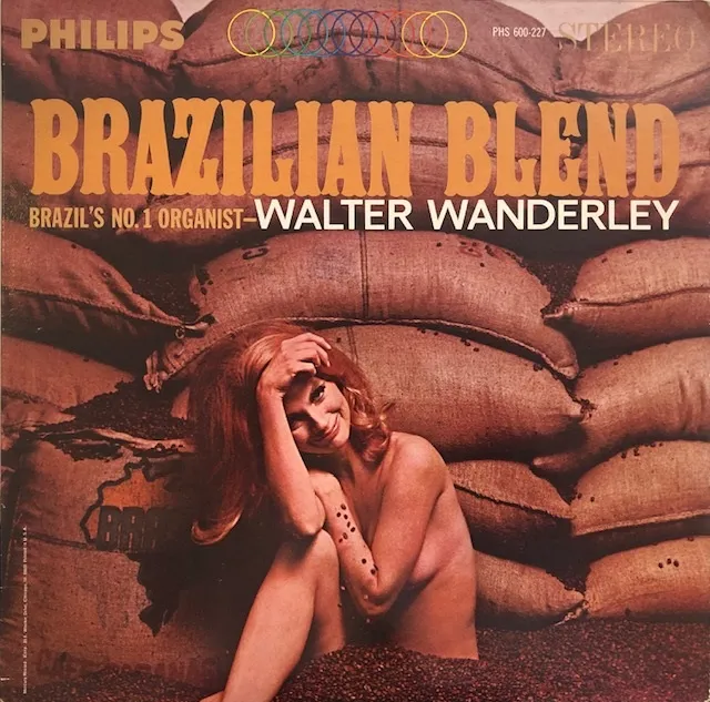 WALTER WANDERLEY / BRAZILIAN BLENDΥʥ쥳ɥ㥱å ()