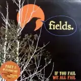 FIELDS / IF YOU FAIL SEBASTIAN REMIXΥʥ쥳ɥ㥱å ()