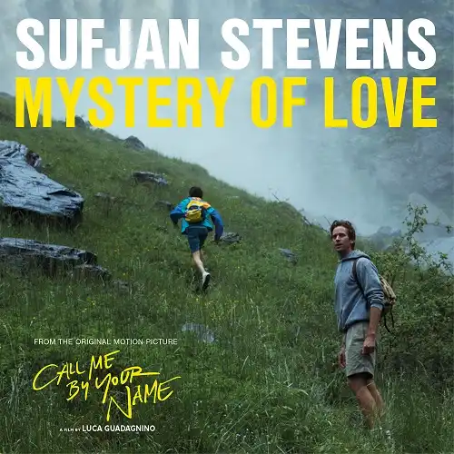 SUFJAN STEVENS / MYSTERY OF LOVE EPΥʥ쥳ɥ㥱å ()