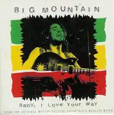 BIG MOUNTAIN / BABY, I LOVE YOUR WAYΥʥ쥳ɥ㥱å ()