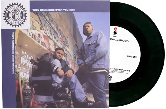 PETE ROCK & C.L.SMOOTH / THEY REMINISCE OVER YOUΥʥ쥳ɥ㥱å ()