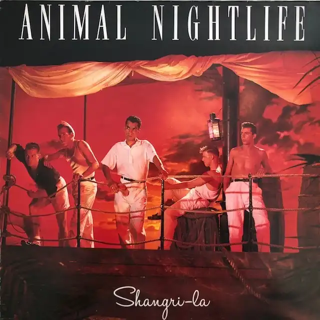 ANIMAL NIGHTLIFE / SHANGRI-LAΥʥ쥳ɥ㥱å ()