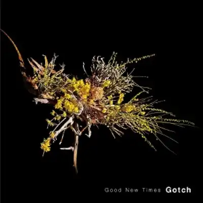 GOTCH / GOOD NEW TIMESΥʥ쥳ɥ㥱å ()