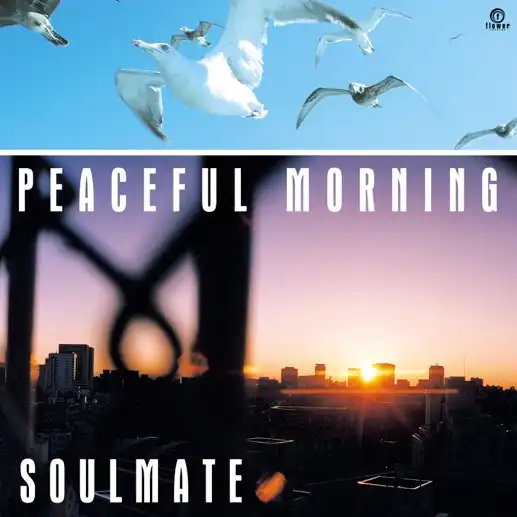 SOULMATE / PEACEFUL MORNING (7INCH EDIT)Υʥ쥳ɥ㥱å ()