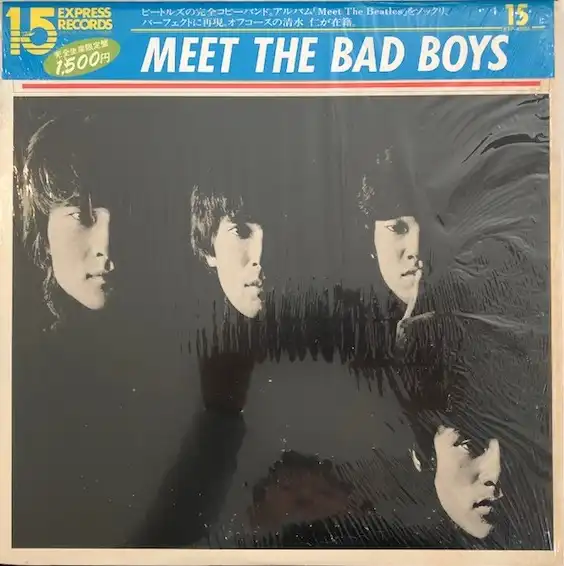 BAD BOYS / MEET THE BAD BOYSΥʥ쥳ɥ㥱å ()