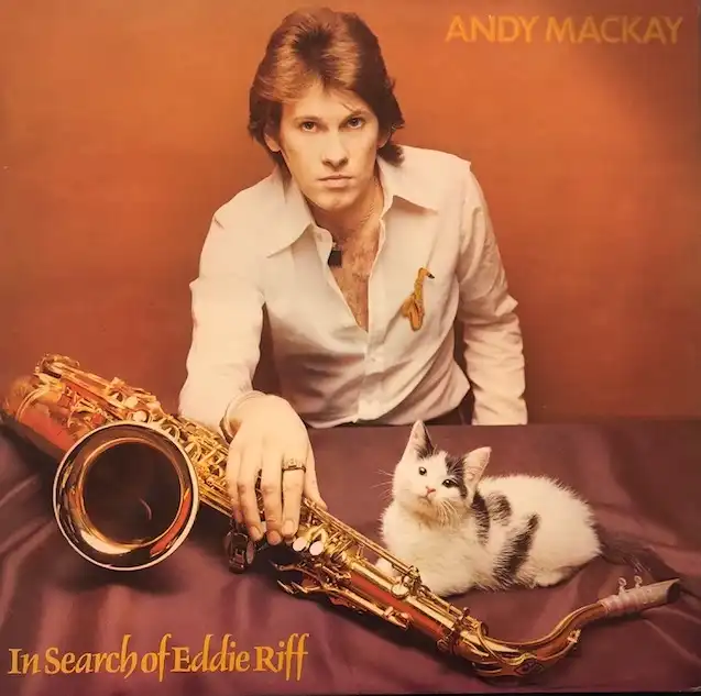 ANDY MACKAY / IN SEARCH OF EDDIE RIFFΥʥ쥳ɥ㥱å ()
