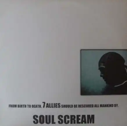 SOUL SCREAM / FROM BIRTH TO DEATHΥʥ쥳ɥ㥱å ()