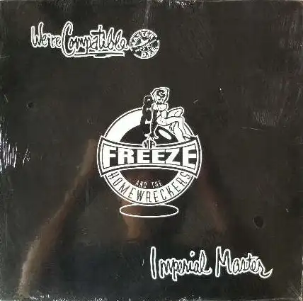 MR FREEZE AND THE HOMEWRECKERS / WE'RE COMPATIBLE