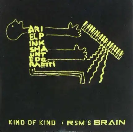 ARIEL PINK'S HAUNTED GRAFFITI / KIND OF KIND