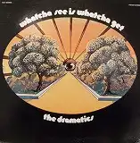 DRAMATICS / WHATCHA SEE IS WHATCHA GET