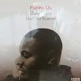 FUNKY DL / SLOW DOWN NOT YET KNOWN