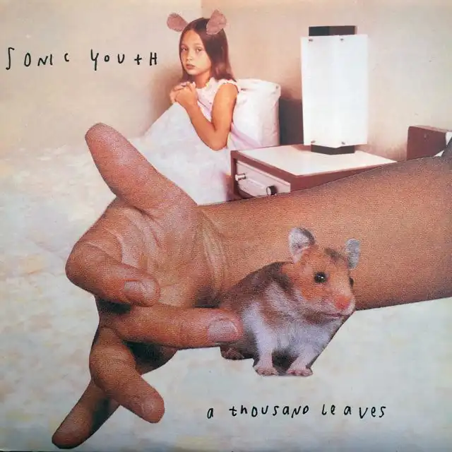 SONIC YOUTH / A THOUSAND LEAVES
