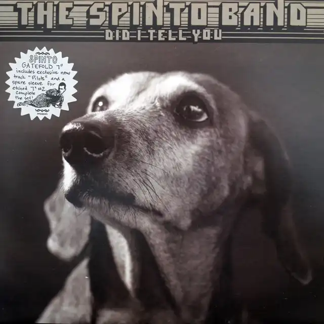 SPINTO BAND / DID I TELL YOU