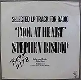STEPHEN BISHOP / FOOL AT HEART
