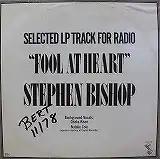 STEPHEN BISHOP / FOOL AT HEARTΥʥ쥳ɥ㥱å ()