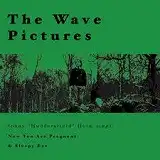 THE WAVE PICTURES / JOHNNY HELM SING