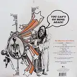 DJ SHADOW / YOU CAN'T GO HOME AGAIN !
