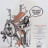 DJ SHADOW / YOU CAN'T GO HOME AGAIN !Υʥ쥳ɥ㥱å ()