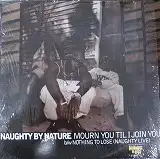 NAUGHTY BY NATURE / MOURN YOU TIL I JOIN YOU