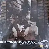 NAUGHTY BY NATURE / MOURN YOU TIL I JOIN YOUΥʥ쥳ɥ㥱å ()