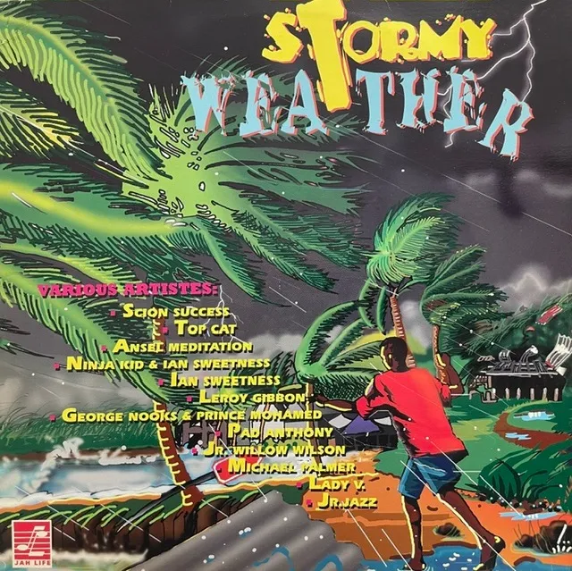 VARIOUS (SCION SUCCESS、ANSEL MEDITATION) / STORMY WEATHER