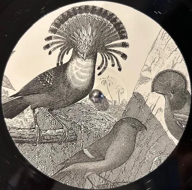 ANNA LUNOE & FRIENDS / REAL TALK