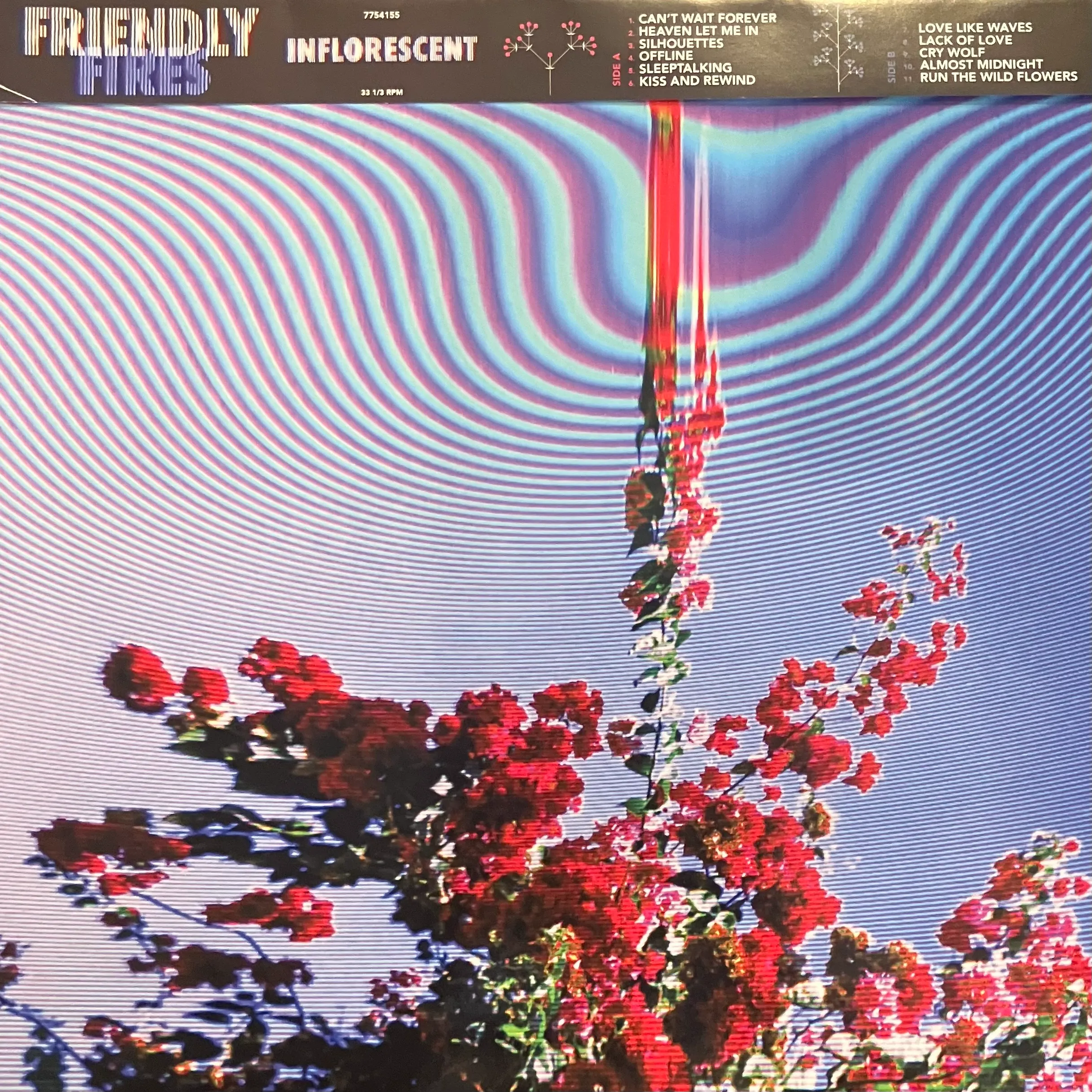 FRIENDLY FIRES / INFLORESCENT
