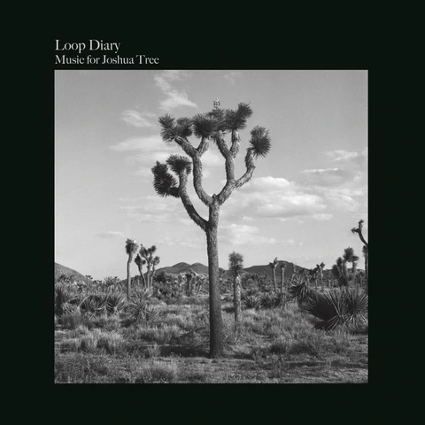 LOOP DIARY / MUSIC FOR JOSHUA TREE
