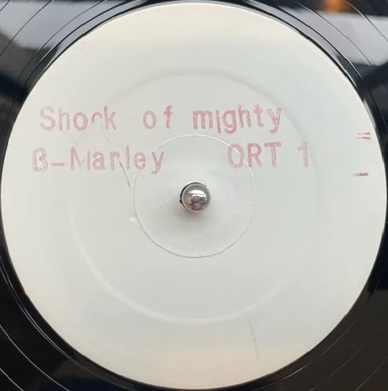 BOB MARLEY / SHOCK OF MIGHTY