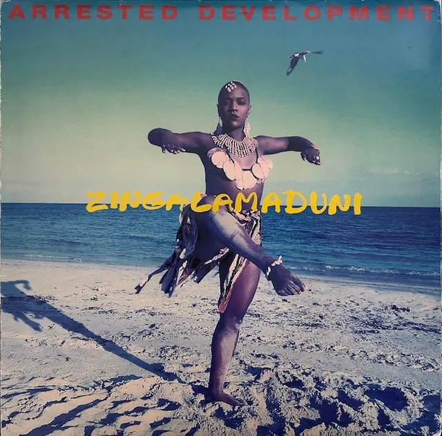 ARRESTED DEVELOPMENT / ZINGALAMADUNI