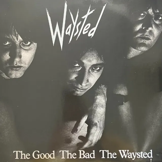 WAYSTED / GOOD THE BAD THE WAYSTED