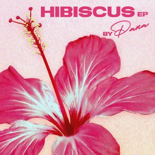 PANA / HIBISCUS EP