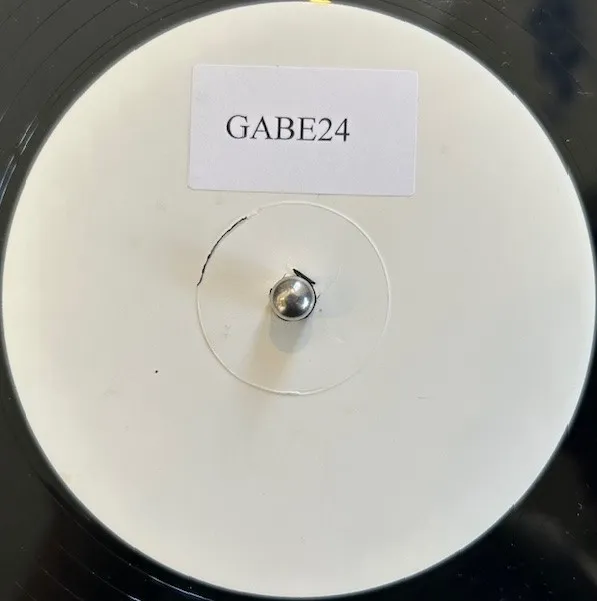 LCD SOUNDSYSTEM / YOU WANTED A HIT (GABE BOOTLEG)