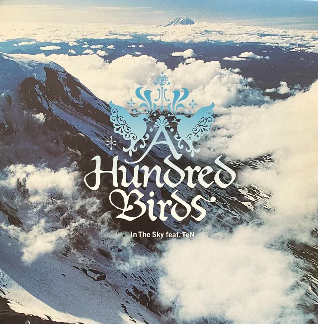 A HUNDRED BIRDS / IN THE SKY