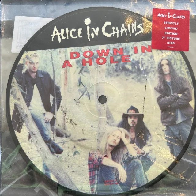 ALICE IN CHAINS / DOWN IN A HOLE