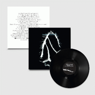 SEEFEEL / EVERYTHING SQUARED