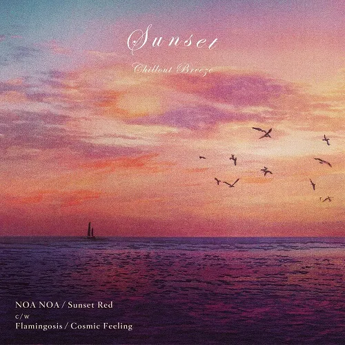 NOA NOA ／ FLAMINGOSIS / SUNSET RED ／ COSMIC FEELING