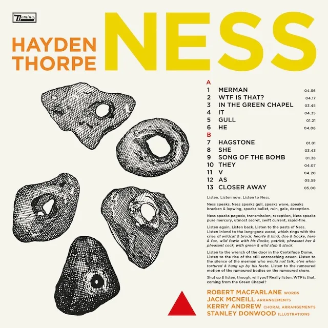 HAYDEN THORPE / NESS