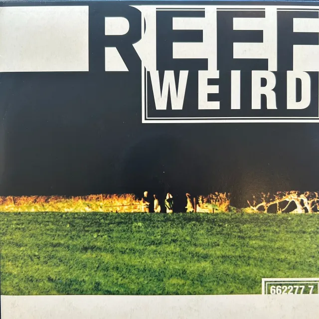 REEF / WEIRD