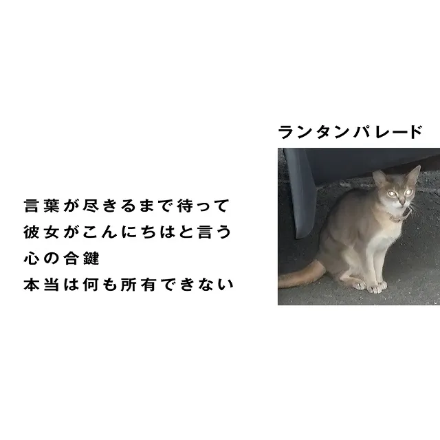 LANTERN PARADE / 言葉が尽きるまで待って