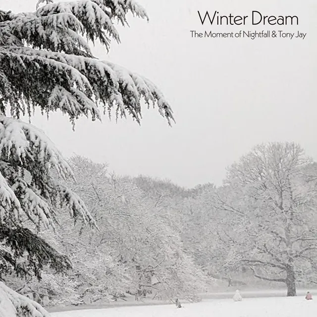 MOMENT OF NIGHTFALL AND TONY JAY / WINTER DREAM