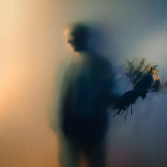 BEN BOHMER / BLOOM