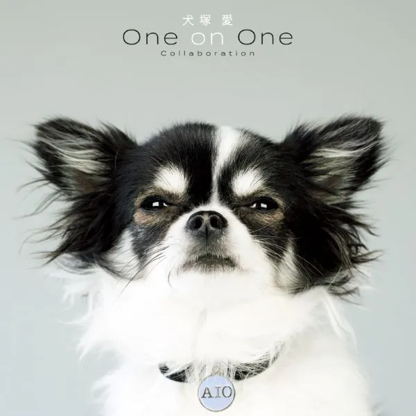 大塚愛 / 犬塚愛 ONE ON ONE COLLABORATION