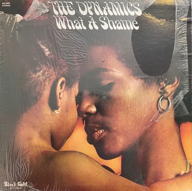 DYNAMICS / WHAT A SHAME