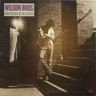 WILSON BROS / ANOTHER NIGHT